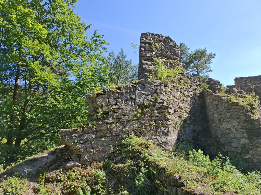 Pozůstatky hradu Rychleby v Rychlebských horách -  Historie ke kávě